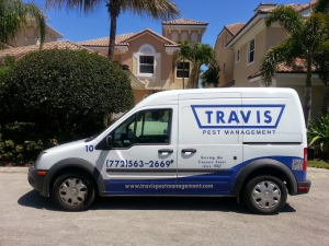 What Are the Benefits of Working with Pest Control Specialists in Stuart?